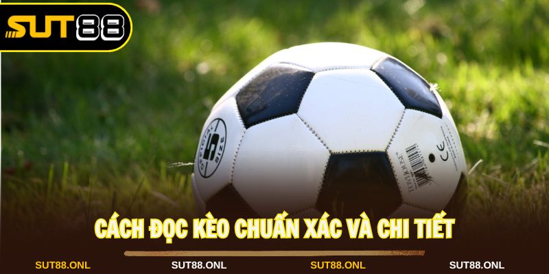 Kèo châu Á mang đến nhiều thể loại vô cùng kịch tính