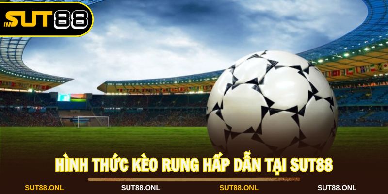 Hình thức kèo rung phổ biến và hấp dẫn tại nhà cái
