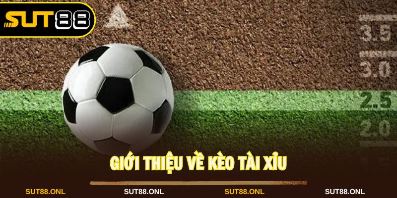 Kèo tài xỉu là loại hình cá cược quen thuộc trong bóng đá