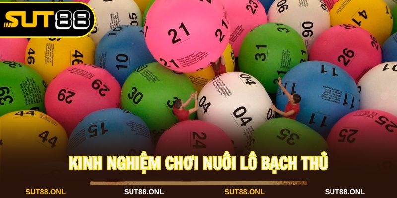 Áp dụng các bí kíp để bắt lô hiệu quả tại nhà cái