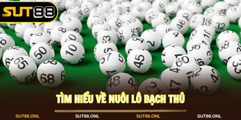 Nuôi lô bạch thủ là phương pháp chơi lô đề hiệu quả