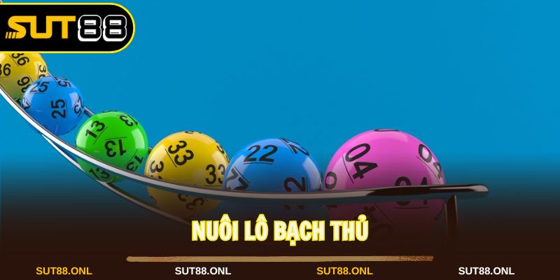 nuôi lô bạch thủ