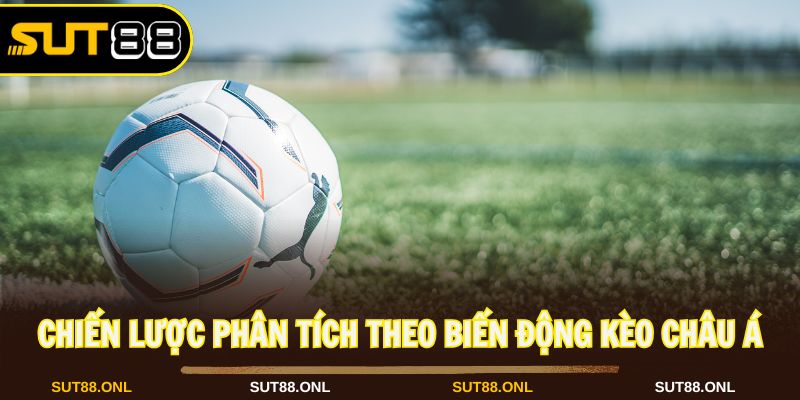 Phân tích cược chấp theo biến động tỷ lệ hiệu quả