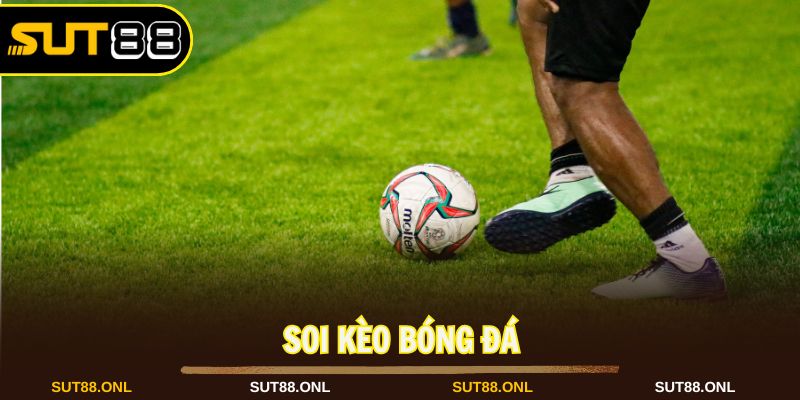 Soi kèo bóng đá cần tổng hợp nhiều dữ liệu trận đấu