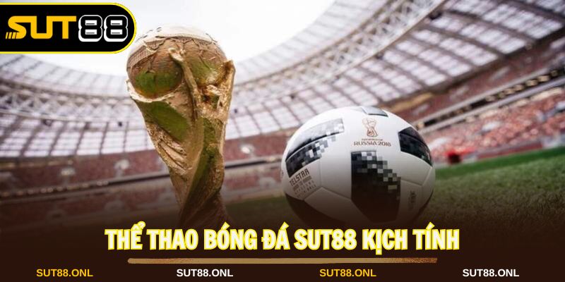 Thể thao Sut88 cung cấp sảnh bóng đá phong phú